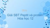 Giải bài tập SBT Hóa 12 Bài 11: Peptit và protein
