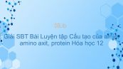 Giải bài tập SBT Hóa 12 Bài 12: Luyện tập Cấu tạo và tính chất của amin, amino axit và protein
