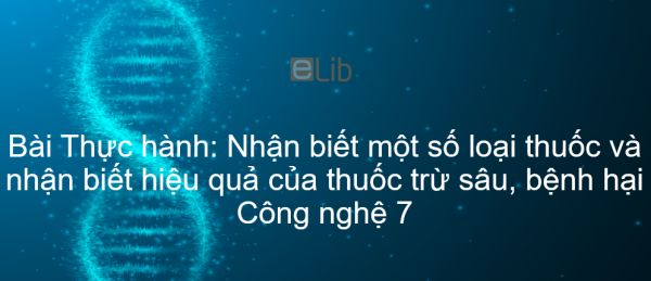 Công nghệ 7 Bài 14: Thực hành: Nhận biết một số loại thuốc và nhận biết hiệu quả của thuốc trừ sâu, bệnh hại