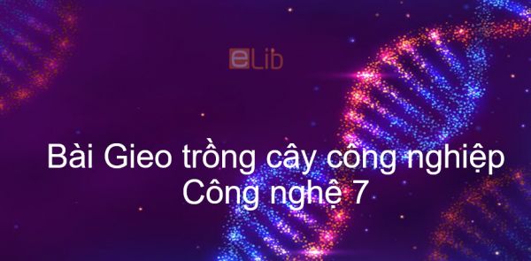 Công nghệ 7 Bài 16: Gieo trồng cây công nghiệp