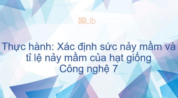 Công nghệ 7 Bài 18: Thực hành: Xác định sức nảy mầm và tỉ lệ nảy mầm của hạt giống