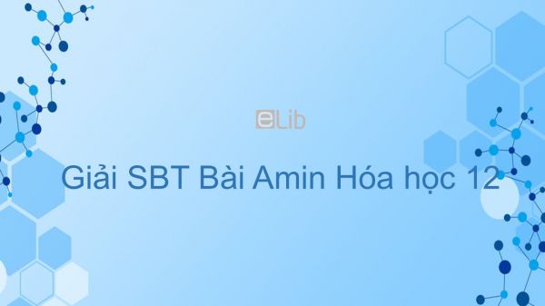 Giải bài tập SBT Hóa 12 Bài 9: Amin