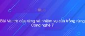 Công nghệ 7 Bài 22: Vai trò của rừng và nhiệm vụ của trồng rừng