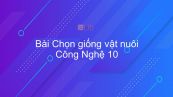 Công nghệ 10 Bài 23: Chọn giống vật nuôi