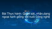 Công nghệ 10 Bài 24: Thực hành: Quan sát, nhận dạng ngoại hình giống vật nuôi