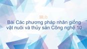 Công nghệ 10 Bài 25: Các phương pháp nhân giống vật nuôi và thủy sản