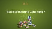 Công nghệ 7 Bài 28: Khai thác rừng