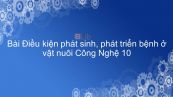 Công nghệ 10 Bài 35: Điều kiện phát sinh, phát triển bệnh ở vật nuôi