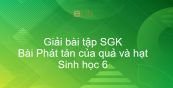 Giải bài tập SGK Sinh học 6 Bài 34: Phát tán của quả và hạt