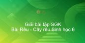 Giải bài tập SGK Sinh học 6 Bài 38: Rêu - Cây rêu