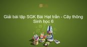Giải bài tập SGK Sinh học 6 Bài 40: Hạt trần - Cây thông