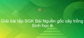 Giải bài tập SGK Sinh học 6 Bài 45: Nguồn gốc cây trồng