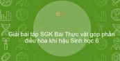 Giải bài tập SGK Sinh học 6 Bài 46: Thực vật góp phần điều hòa khí hậu