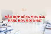 Mẫu hợp đồng mua bán hàng hóa mới nhất