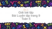 Giải bài tập SGK Toán 5 Bài: Luyện tập trang 9