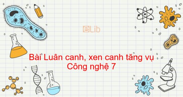 Công nghệ 7 Bài 21: Luân canh, xen canh tăng vụ