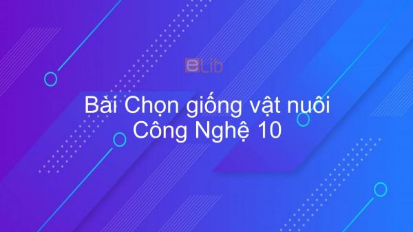 Công nghệ 10 Bài 23: Chọn giống vật nuôi