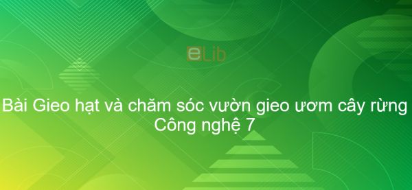 Công nghệ 7 Bài 24: Gieo hạt và chăm sóc vườn gieo ươm cây rừng