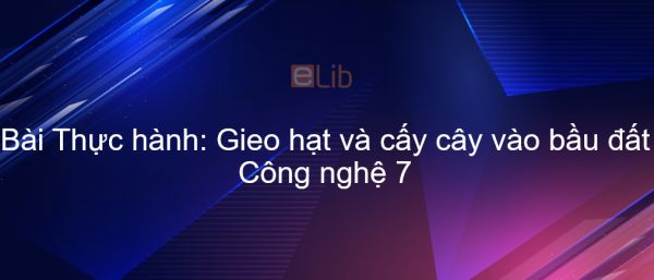 Công nghệ 7 Bài 25: Thực hành: Gieo hạt và cấy cây vào bầu đất