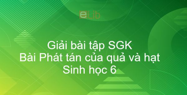 Giải bài tập SGK Sinh học 6 Bài 34: Phát tán của quả và hạt