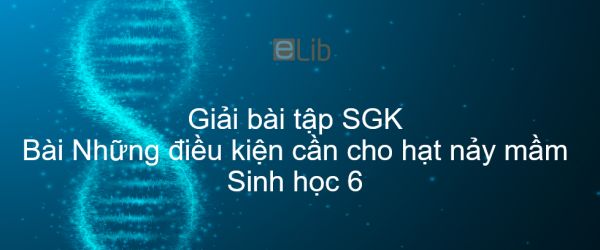 Giải bài tập SGK Sinh học 6 Bài 35: Những điều kiện cần cho hạt nảy mầm