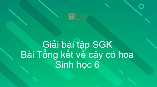 Giải bài tập SGK Sinh học 6 Bài 36: Tổng kết về cây có hoa