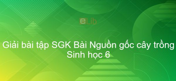 Giải bài tập SGK Sinh học 6 Bài 45: Nguồn gốc cây trồng