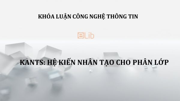 Luận văn: KANTS - Hệ kiến tạo cho phân lớp