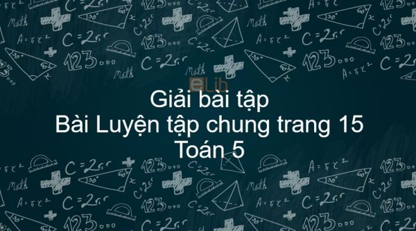 Giải bài tập SGK Toán 5 Bài: Luyện tập chung trang 15