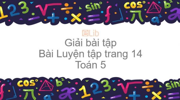 Giải bài tập SGK Toán 5 Bài: Luyện tập trang 14