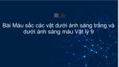 Lý 9 Bài 55: Màu sắc các vật dưới ánh sáng trắng và dưới ánh sáng màu