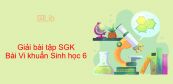 Giải bài tập SGK Sinh học 6 Bài 50: Vi khuẩn