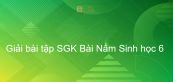Giải bài tập SGK Sinh học 6 Bài 51: Nấm