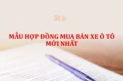 Mẫu hợp đồng mua bán xe ô tô mới nhất