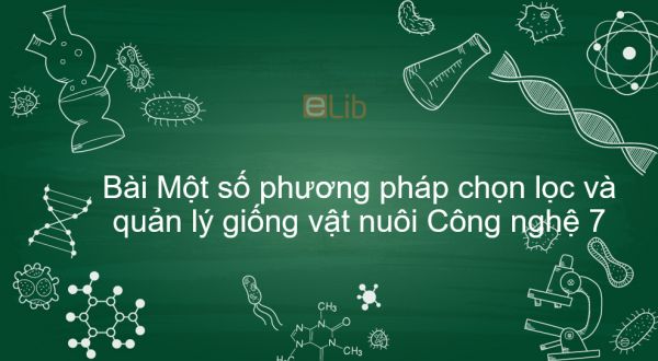 Công nghệ 7 Bài 33: Một số phương pháp chọn lọc và quản lý giống vật nuôi