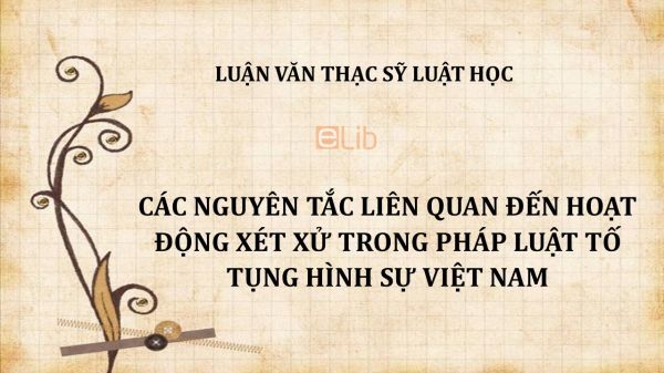Luận văn ThS: Các nguyên tắc liên quan đến hoạt động xét xử trong pháp luật tố tụng hình sự Việt Nam