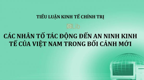 Tiểu luận: Các nhân tố tác động đến an ninh kinh tế của Việt Nam trong bối cảnh mới