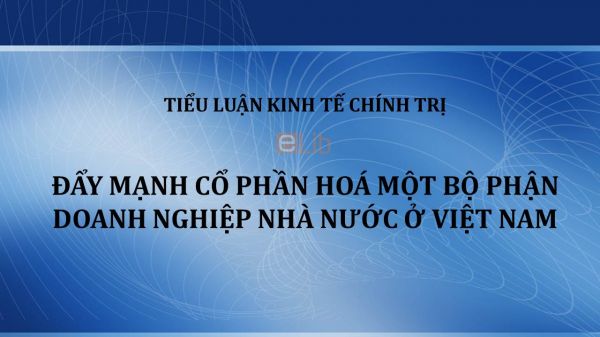 Tiểu luận: Đẩy mạnh Cổ phần hoá một bộ phận doanh nghiệp nhà nước ở Việt Nam