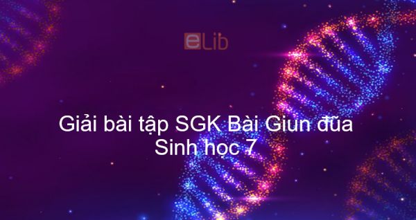 Giải bài tập SGK Sinh học 7 Bài 13: Giun đũa