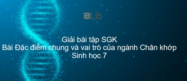 Giải bài tập SGK Sinh học 7 Bài 29: Đặc điểm chung và vai trò của ngành Chân khớp