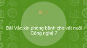 Công nghệ 7 Bài 47: Vắc xin phòng bệnh cho vật nuôi