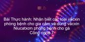 Công nghệ 7 Bài 48: Thực hành: Nhận biết các loại vắcxin phòng bệnh cho gia cầm và dùng vắcxin Niucatxơn phòng bệnh cho gà