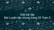 Giải bài tập SGK Toán 5 Bài: Luyện tập chung trang 55