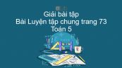 Giải bài tập SGK Toán 5 Bài: Luyện tập chung trang 73