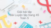 Giải bài tập SGK Toán 5 Bài: Luyện tập trang 45