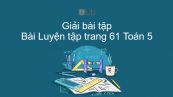 Giải bài tập SGK Toán 5 Bài: Luyện tập trang 61