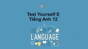 Unit 11-13 lớp 12: Test Yourself E