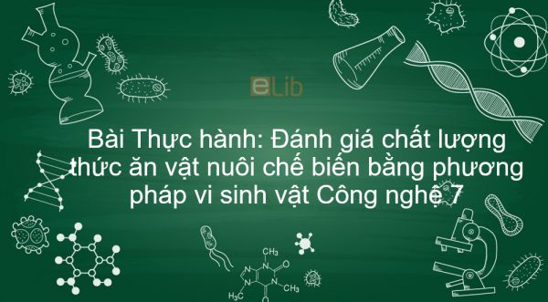 Công nghệ 7 Bài 43: Thực hành: Đánh giá chất lượng thức ăn vật nuôi chế biến bằng phương pháp vi sinh vật