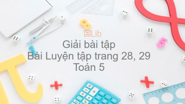 Giải bài tập SGK Toán 5 Bài: Luyện tập trang 28, 29