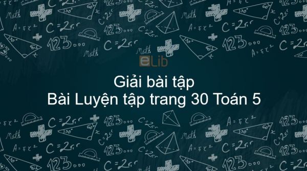 Giải bài tập SGK Toán 5 Bài: Luyện tập trang 30